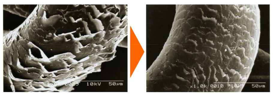第３回：活性ケラチン×生ケラチン──髪が自ら再生し続ける仕組み